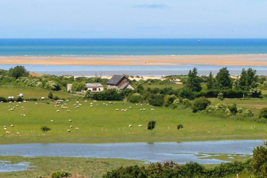 Maison Au Pied Des Dunes, 200M De La Plage Montmartin-sur-Mer Exteriör bild